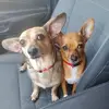Maria Hernandes - @mariahernandes652 - TikTok
