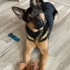 Maria Herr - @maria.herr5 - TikTok