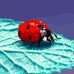 Maria Herrmann - Facebook