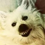 Maria Hershey (Itchy / Bacten) - @jean.clickmarketing - Instagram