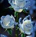 Maria Hester - Facebook