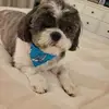 Maria Higdon - @maria.higdon - TikTok