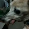 Maria Hilbert - @mariahilbert_5884 - TikTok
