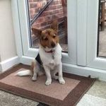 Helen Maria Hobson - @helen_hobson60 - Instagram
