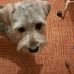 Maria Hobson - Facebook