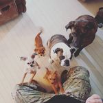 Maria Hook - @_marianoelle - Instagram