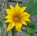 Maria Hook - Facebook