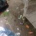 M Habil - Facebook