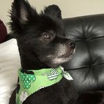 Maria Hubbell Rose - @yiayiarose12 - Instagram