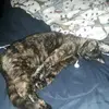 mariahhhuff08 - @mariahhhuff08 - TikTok