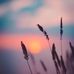 Maria Ildefonso - Facebook