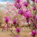 Maria Isais - Facebook