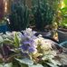 Maria Isais Cabrera - Facebook