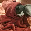 mariaisais610 - @mariaisais610 - TikTok