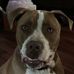 Maria Ison - Facebook