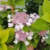 bendita suerte Maria Ituarte - @bendita.suerte.ma - TikTok