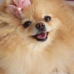 mariajeter - @mariajeter52 - Instagram