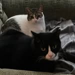 Maria Joiner - @mjoiner777 - Instagram