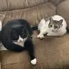 mariajoiner3 - @mertz326 - TikTok