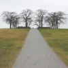 maria_jon0 - @maria_jon0 - TikTok