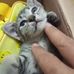 Maria Kan - Facebook