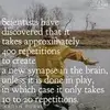 Curiosity_Wonder - @mariakauffman - TikTok