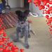 Maria Keene - Facebook