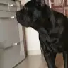 Mária Kellner - @balazs623 - TikTok