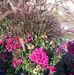 Maria Killich - Facebook
