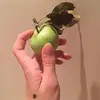 Maria Kipperberg Tol - @mariakipperbergto - TikTok
