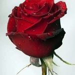 Maria Knoll - @maria.knoll.90834 - Instagram