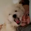 mariaknoll739 - @mariaknoll739 - TikTok