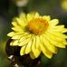 Maria Kulas1 - Facebook
