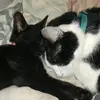 maria - @mariakun1231 - TikTok