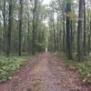 mariakushnir560 - @mariakushnir560 - TikTok