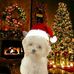 Maria Labaria - Facebook