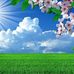 Maria Labrada - Facebook