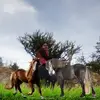 Maria Labrada - @marialabrada5 - TikTok