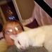 Maria Laezza - Facebook