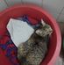 Maria Lamela - Facebook