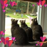 Maria Lamm - @emtlamm - Instagram