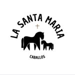 La Santa Maria - @lasantamariacaballos - Instagram