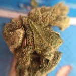 La Santa Maria - @lasanta_maria - Instagram