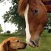 Maria Lasher - Facebook