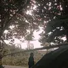 Maria Laurent - @marialaurent29 - TikTok