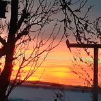 Maria Lehner - Facebook