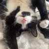 Maria🎀 - @maria.leo29 - TikTok