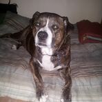 Maria Littlejohn - Facebook