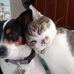 Maria Cristina Llerandi - Facebook