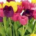 Maria Loeza - Facebook
